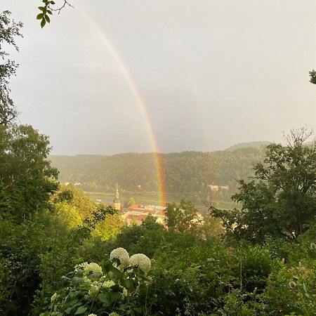 Villa Sonnenburg Bad Schandau Exteriér fotografie