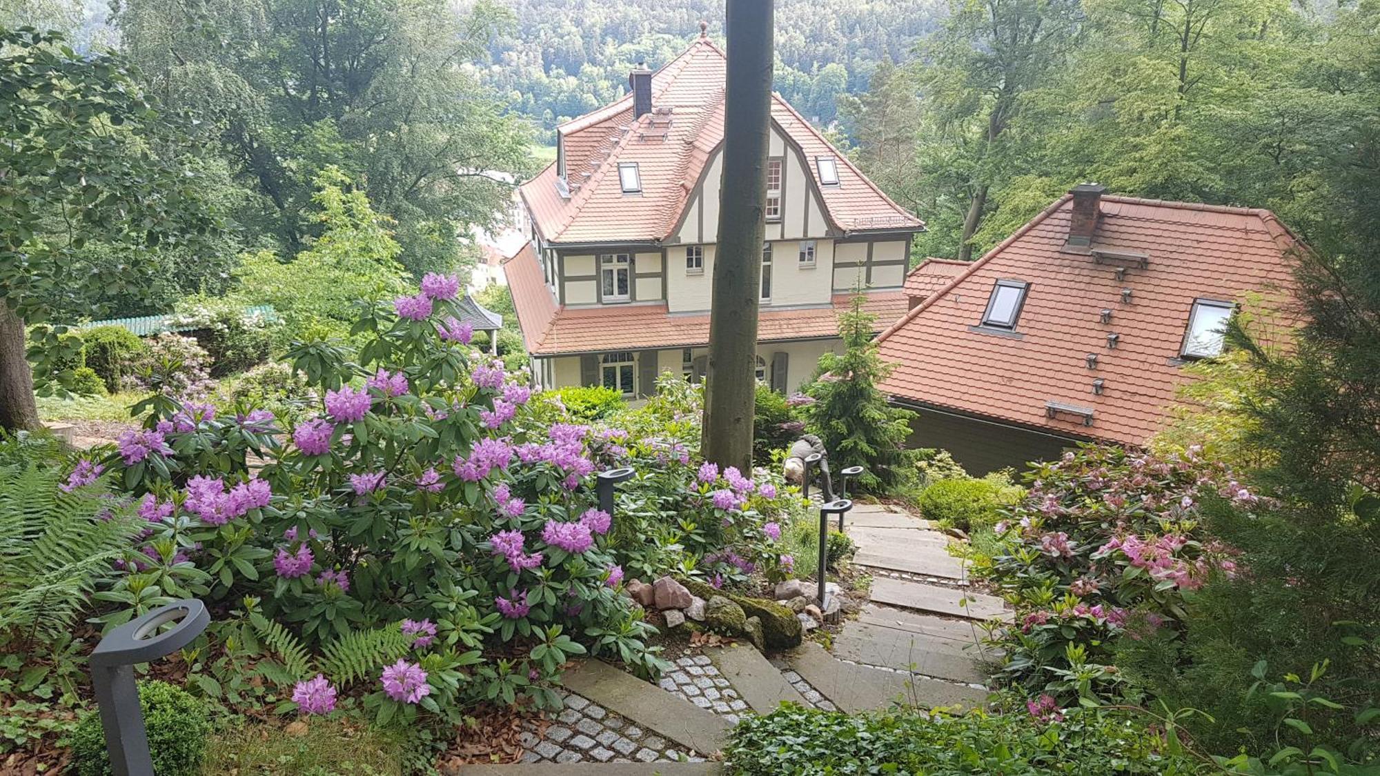 Villa Sonnenburg Bad Schandau Exteriér fotografie